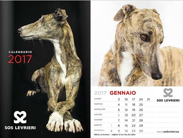calendario-2017-interno