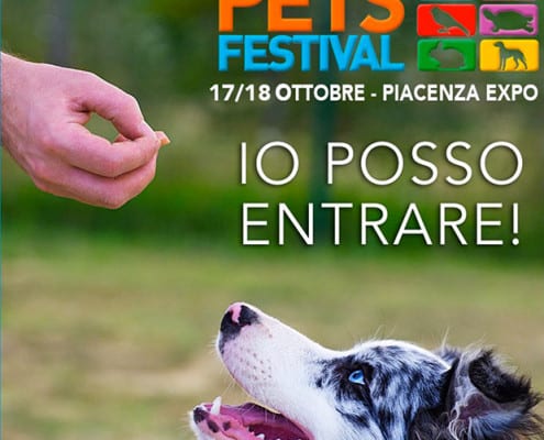 PetsFestival - Piacenza Expo 17-18 Ottobre 2015