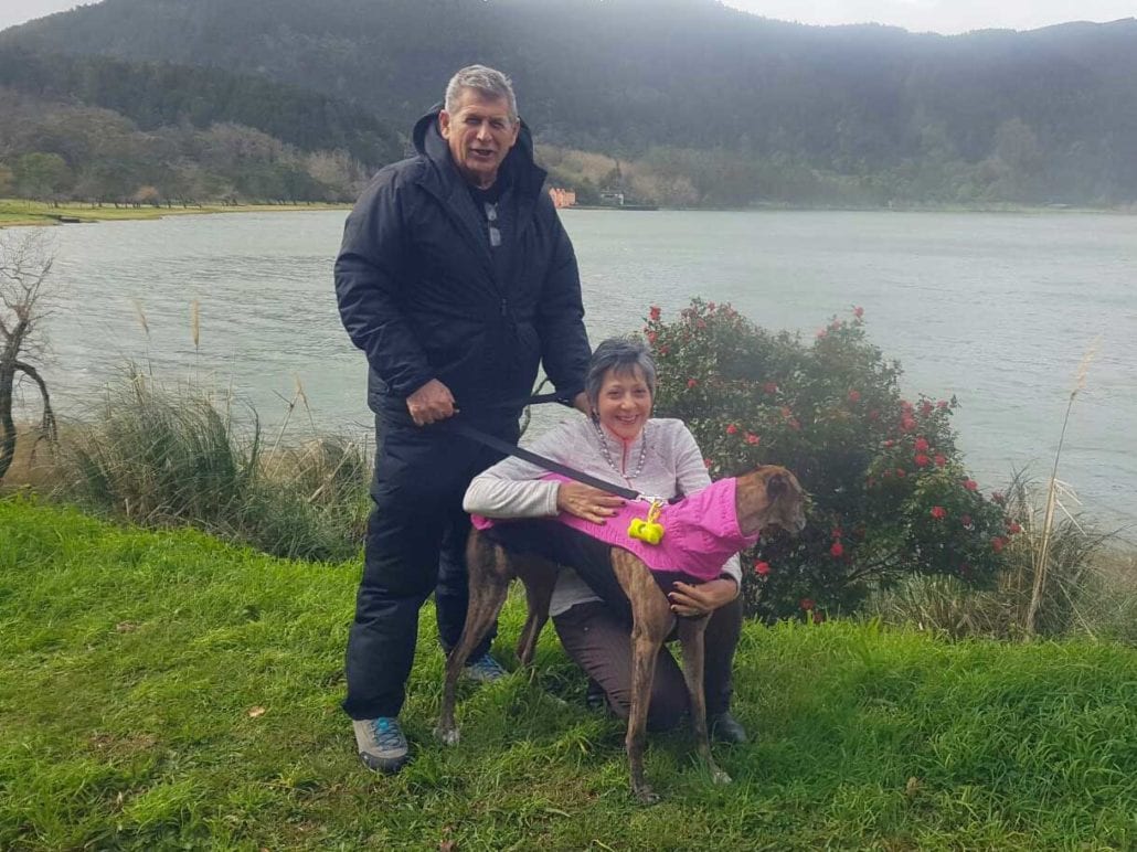 Sullo sfondo: Lago di Furnas, zona termale di São Miguel