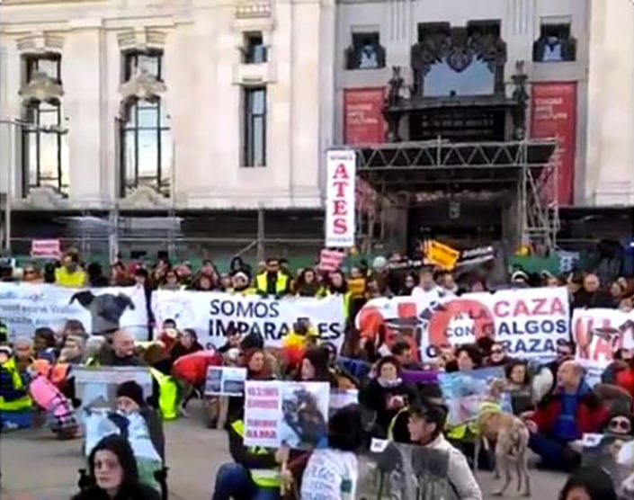 SOS_Levrieri_madrid_manifestazione_01