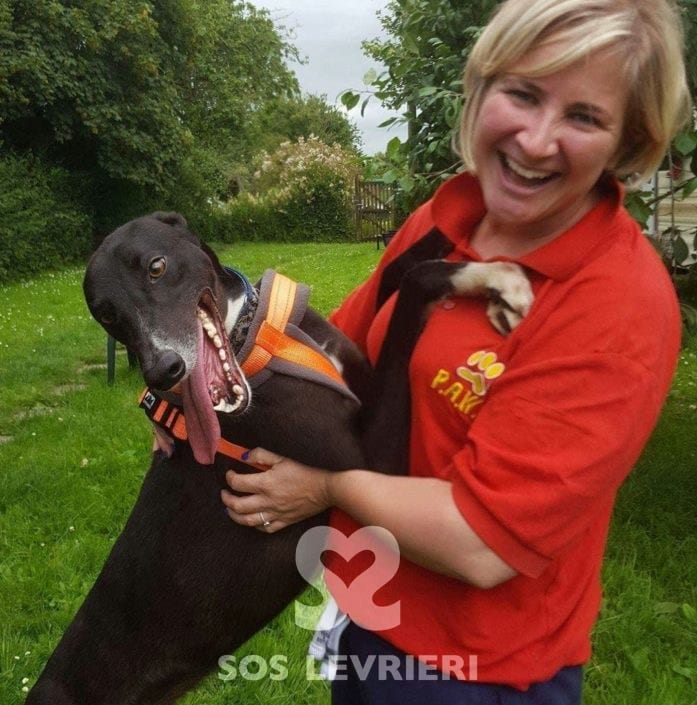 floyd-greyhound_16-3.jpg