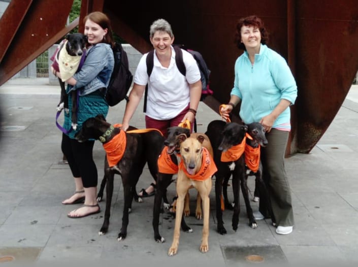 Arrivo Greyhound – 23 Giugno 2018 Arrivo Greyhound - 23 Giugno 2018