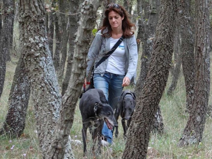 levrieri_dog_friendly