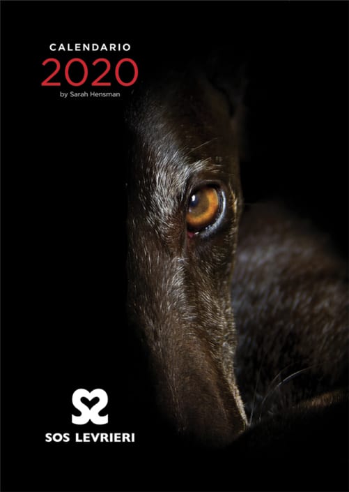 SOS Levrieri Calendario 2020 SOS Levrieri Calendario 2020
