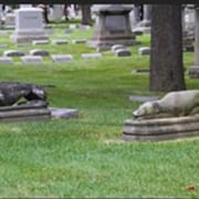 Statue di Levriero nel cimitero di Rosehill