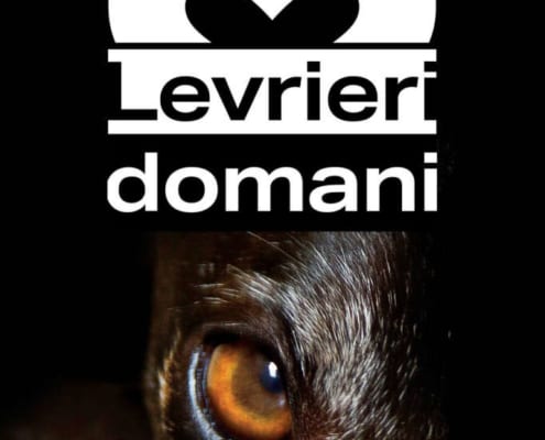 Levrieri domani