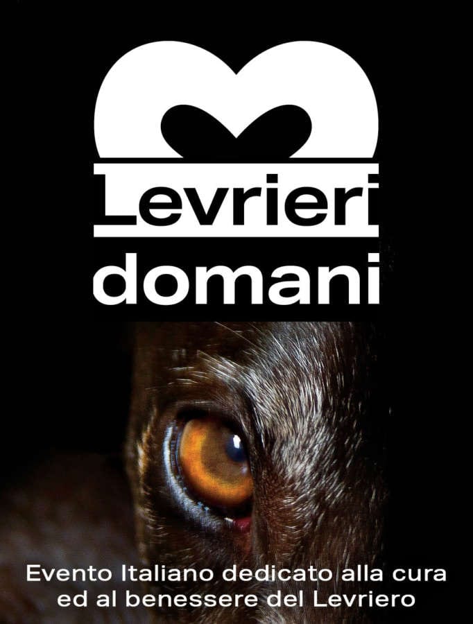 Levrieri domani