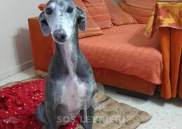 Imelda Galgo