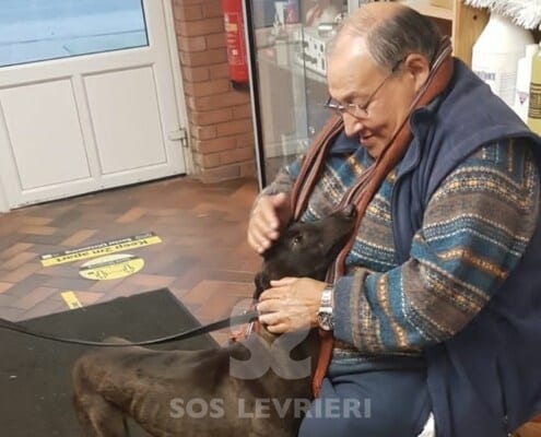 Nel Greyhound