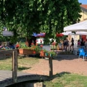 il bar che vorrei pioltello