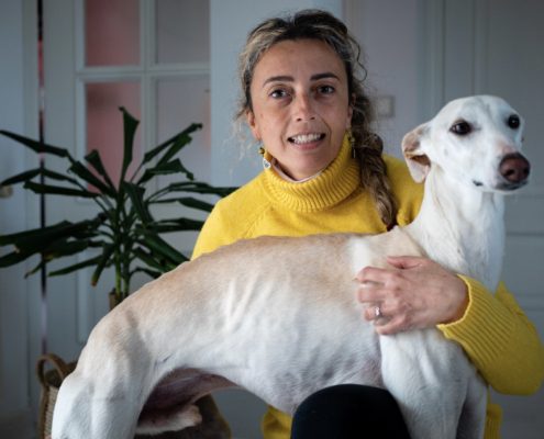 Arrivo Galgo SOS Levrieri sabato 27 Novembre 2021