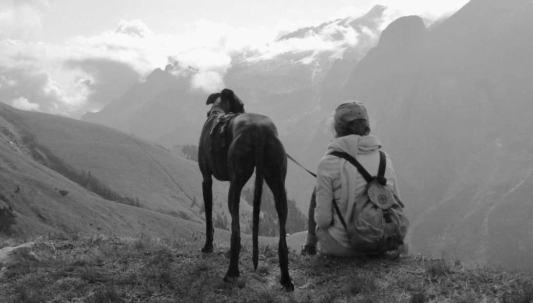 sara-jasper-galgo-spagnoli-sos-levrieri