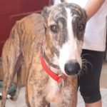 Lidia Galgo