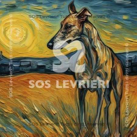 SOS Levrieri - QSL-005