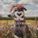 SOS Levrieri - QSL-007
