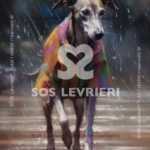 SOS Levrieri - QSL-009