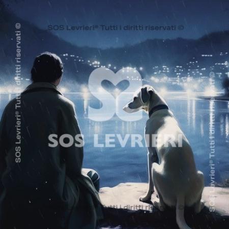 SOS Levrieri - QSL-019