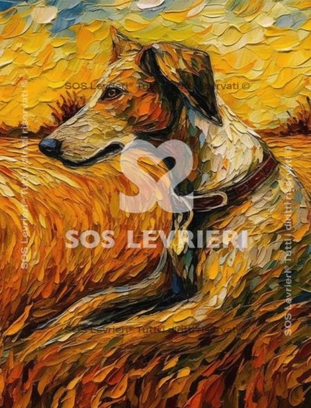 SOS Levrieri - QSL-021