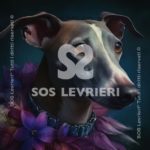 SOS Levrieri - QSL-026