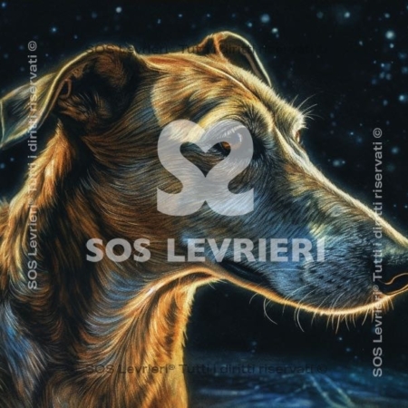 SOS Levrieri - QSL-027