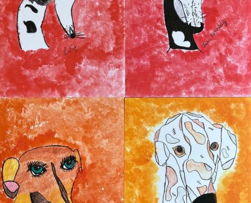 SOS Levrieri - Disegni delle classi quarte - Scuole Porto di Legnago (VR)