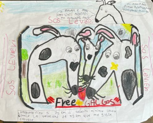 SOS Levrieri - Disegni delle classi quarte - Scuole Porto di Legnago (VR)
