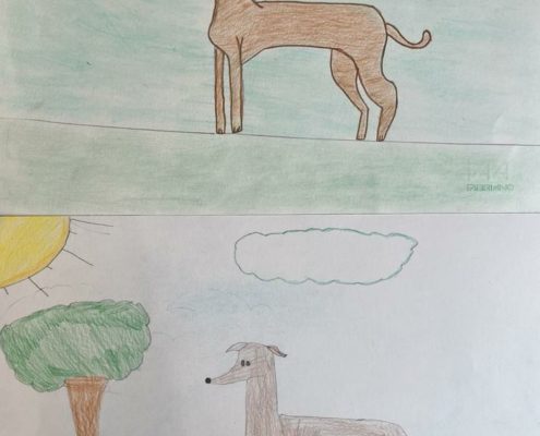 SOS Levrieri - Disegni delle classi quarte - Scuole Porto di Legnago (VR)