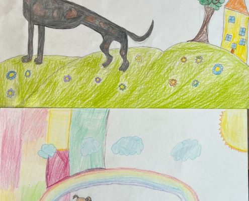 SOS Levrieri - Disegni delle classi quarte - Scuole Porto di Legnago (VR)