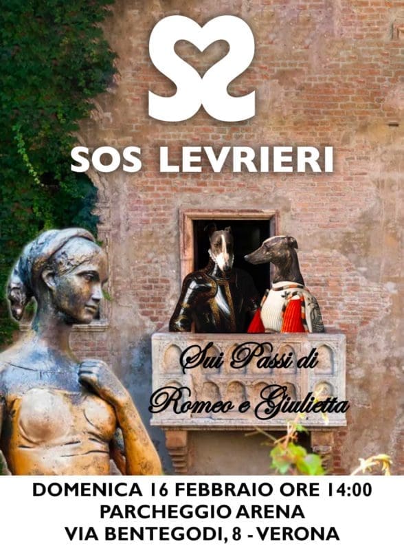 Sui passi di Romeo e Giulietta con SOS Levrieri