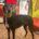 Loda-Galgo
