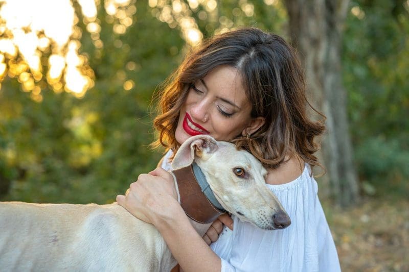 Le prime settimane: aiutare il tuo nuovo Levriero ad ambientarsi