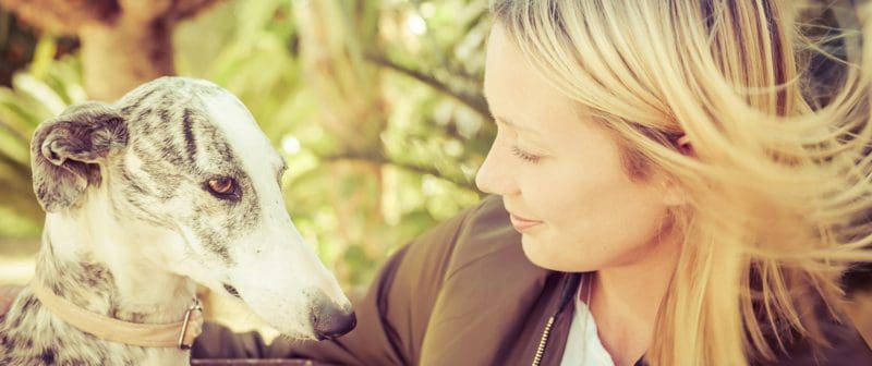 Le prime settimane: aiutare il tuo nuovo Levriero ad ambientarsi