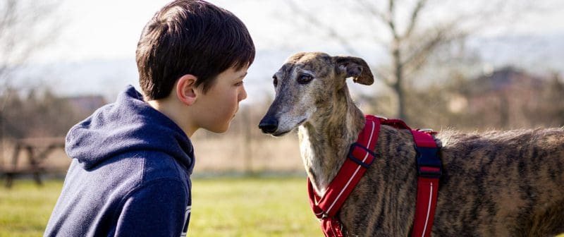 Presentare il tuo Levriero ai bambini