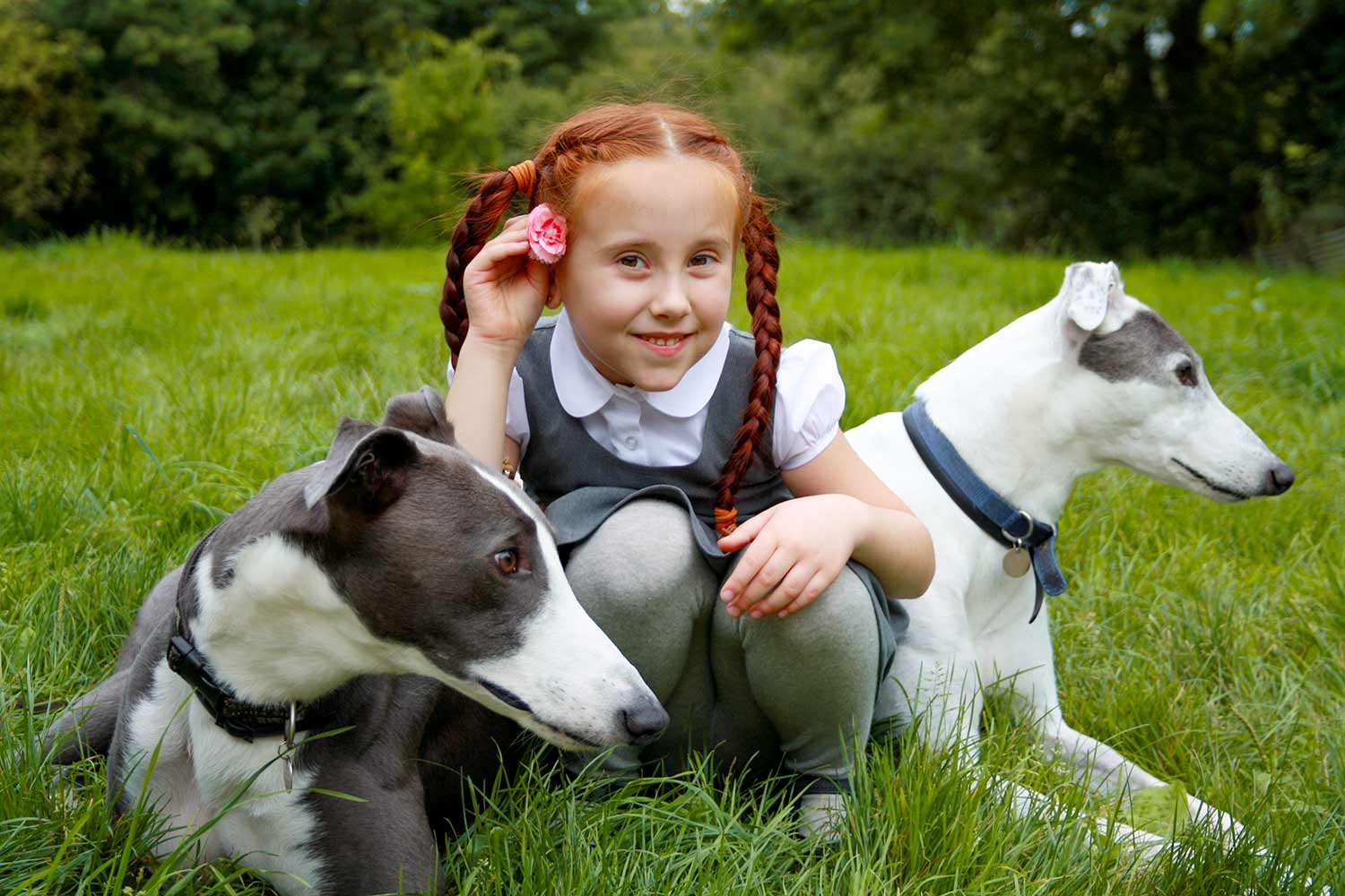 Presentare il tuo Levriero ai bambini