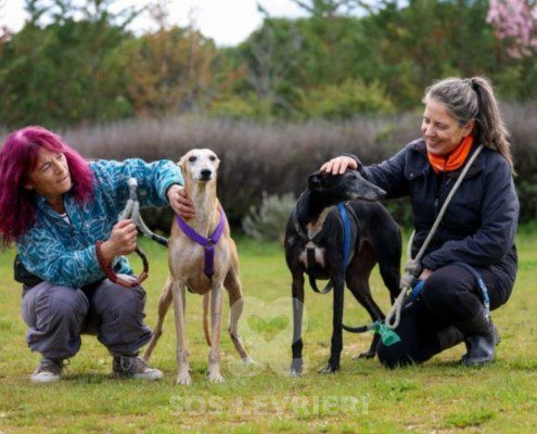 Sardana-Galgo