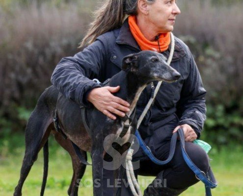 Sardana-Galgo