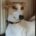 Buddy-Whippet