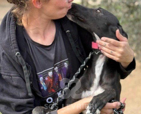 Cristina-Galgo