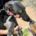 Cristina-Galgo