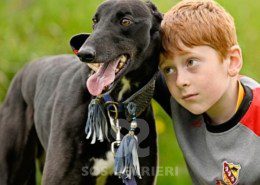 Sasha-Greyhound