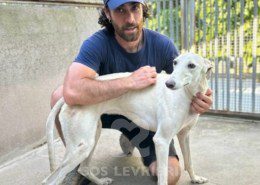 Narila-Galgo