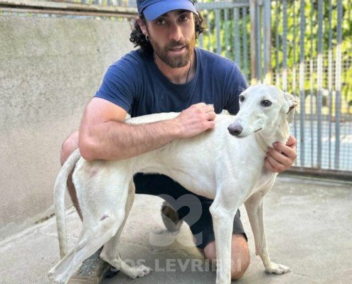 Narila-Galgo