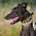 Rocco-Greyhound