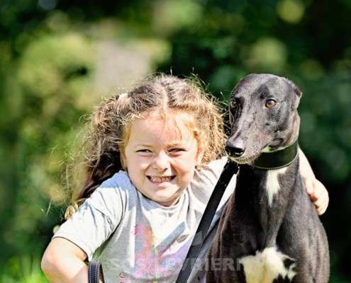 Carlotta-Greyhound
