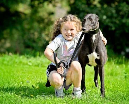 Carlotta-Greyhound