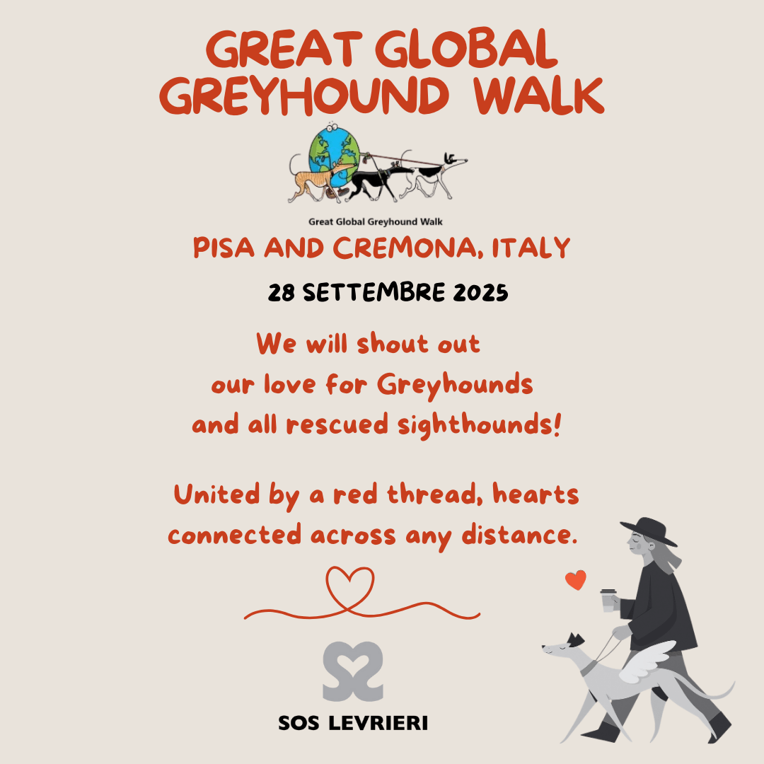 Great Global Greyhound Walk - Pisa Cremoma 2025