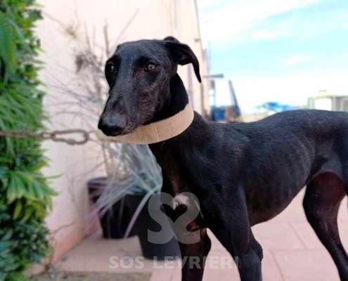 Madi-Galgo_24 Madi-Galgo