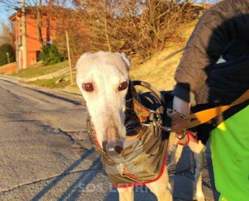 Maika-Galgo_11 Maika-Galgo